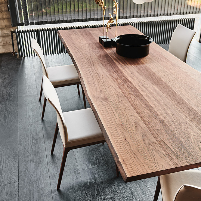 Spyder Wood Cattelan