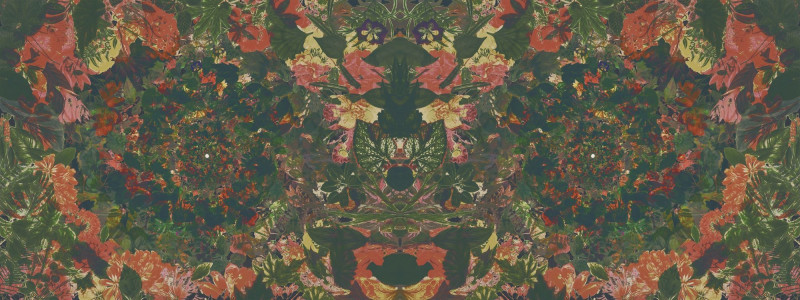 Flower power Londonart