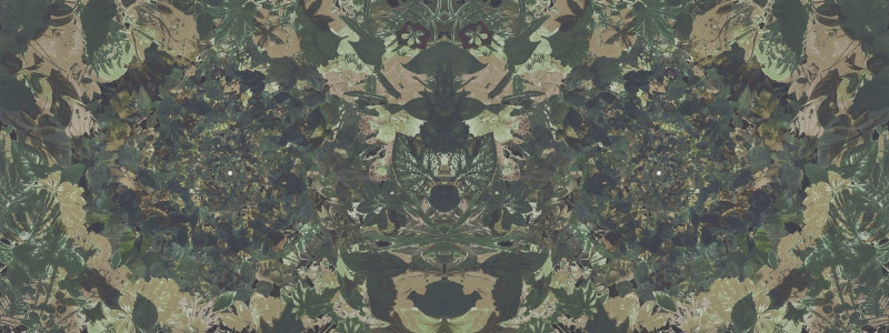 Flower power Londonart