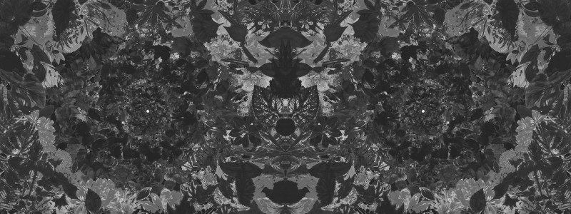 Flower power Londonart