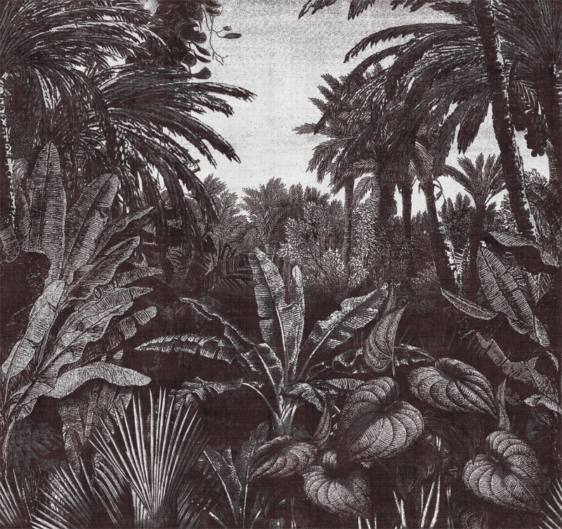 Tropical mornings Londonart