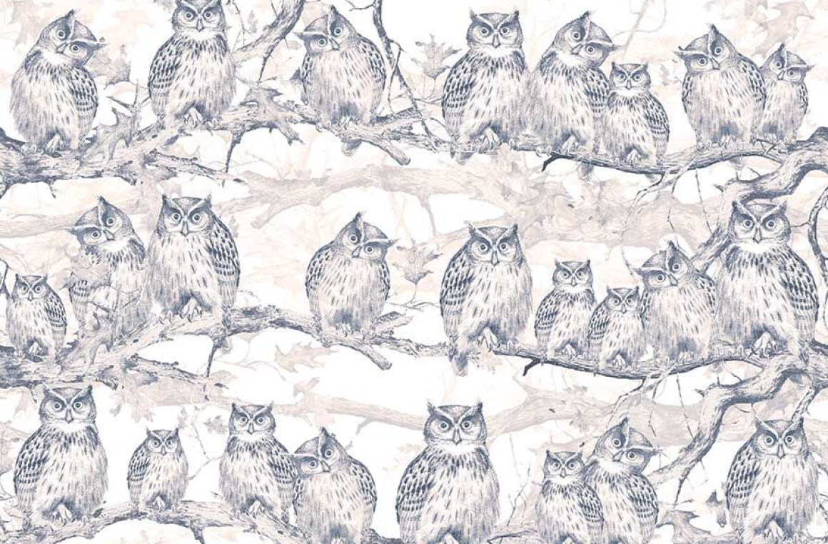 Owls resort Londonart