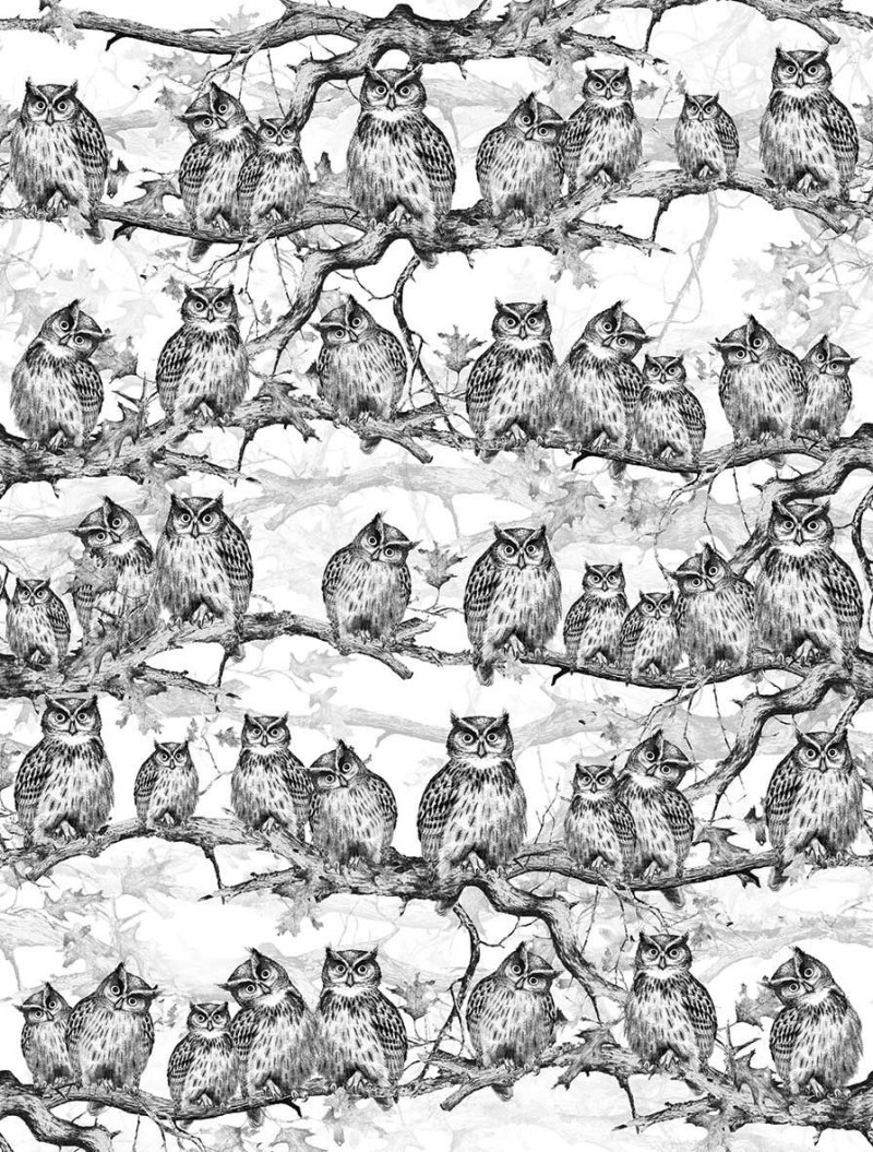 Owls resort Londonart