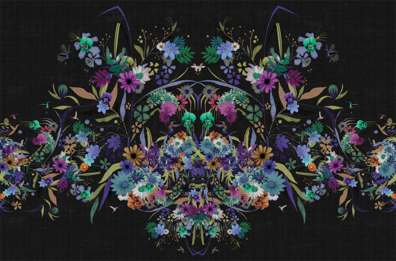 Kolibrie Londonart