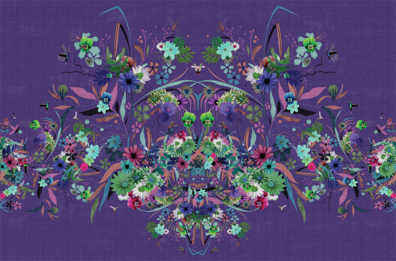 Kolibrie Londonart