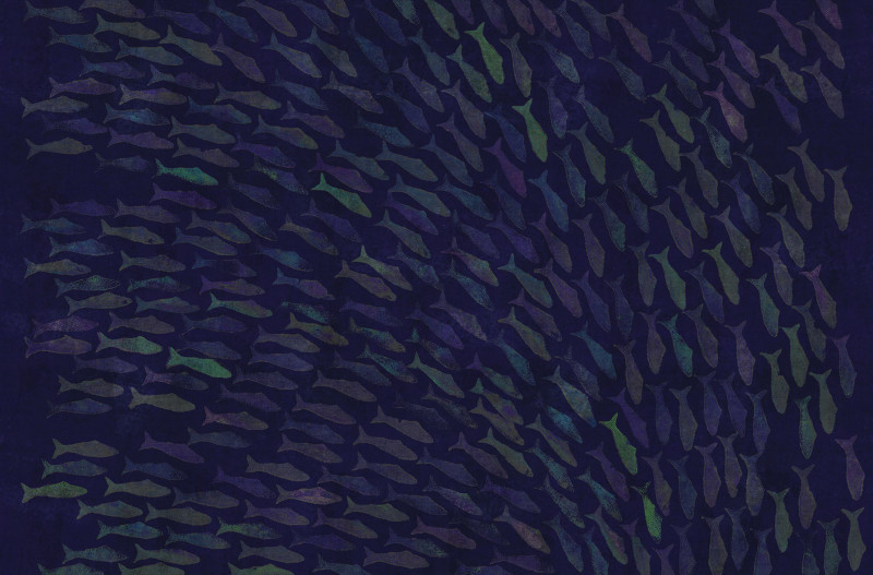 Rainbow fish Londonart