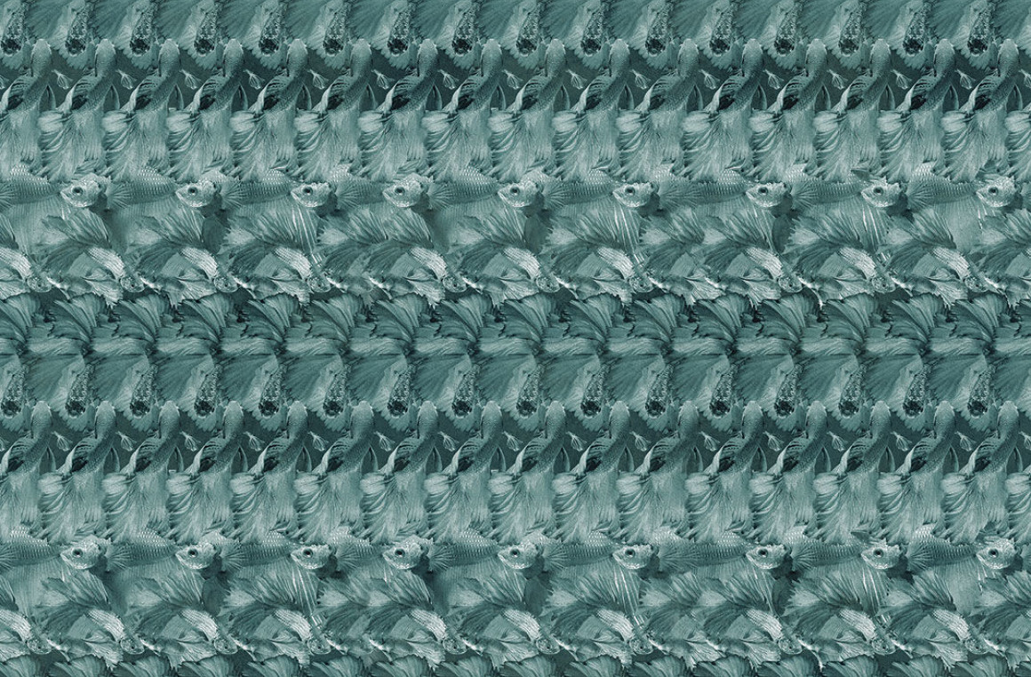 Fish Londonart