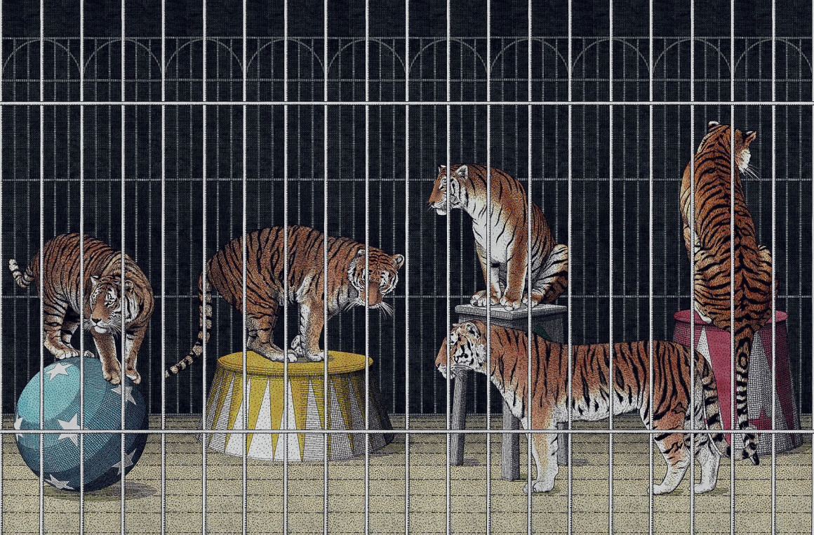 Tigers Londonart