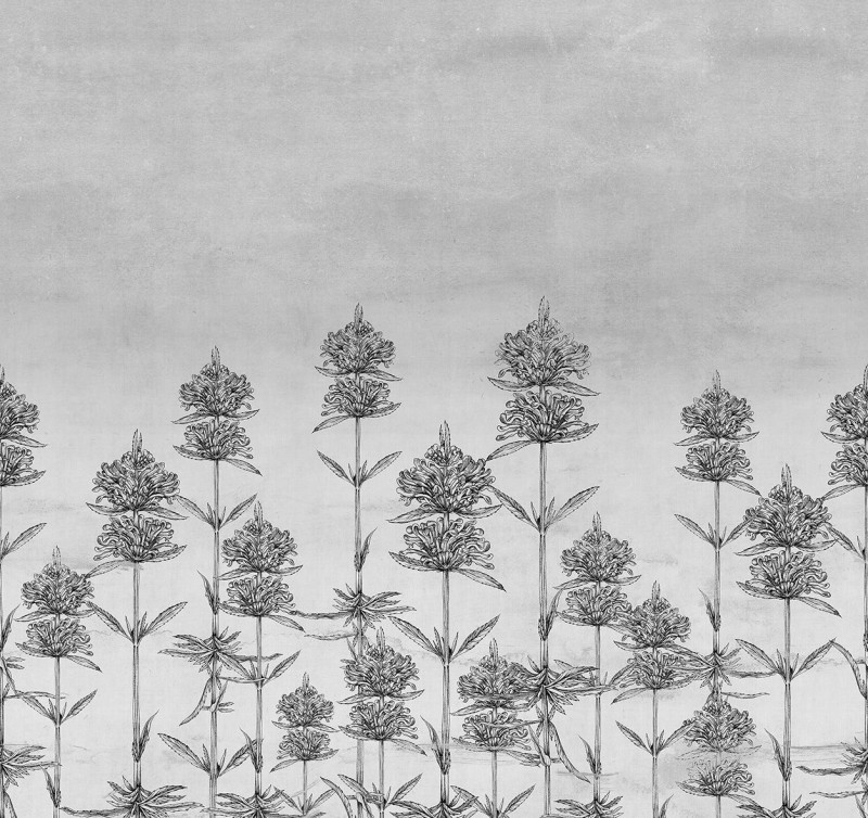 Natural Euphoria Londonart