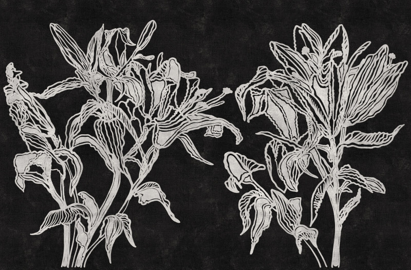 Lily Londonart