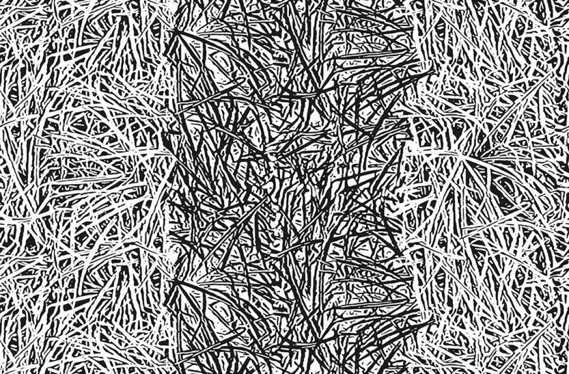 Mad Bush Londonart