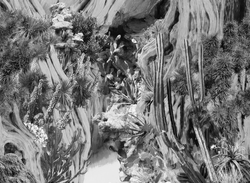Navajo dream Londonart