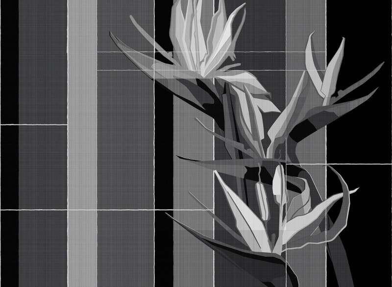 Strelitzia Londonart