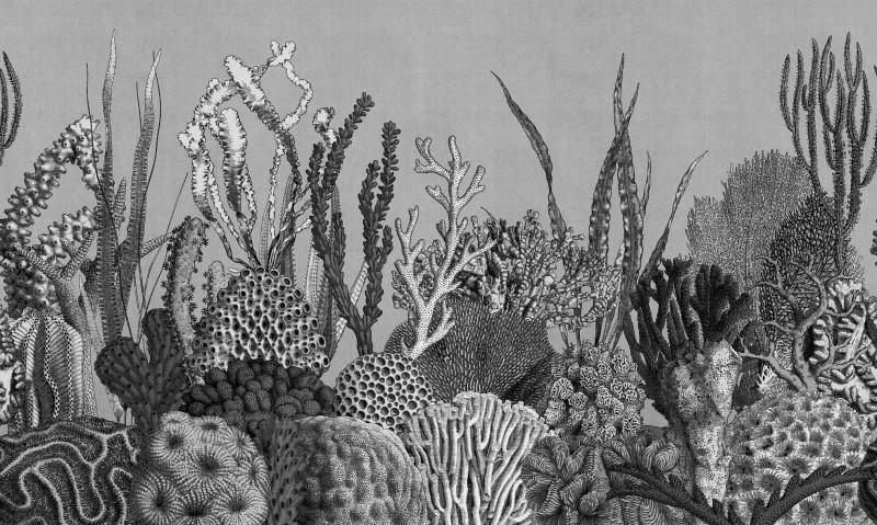 See Sea Londonart