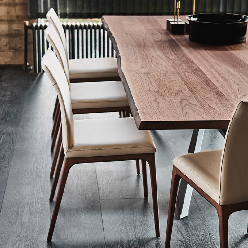 Spyder Wood Cattelan