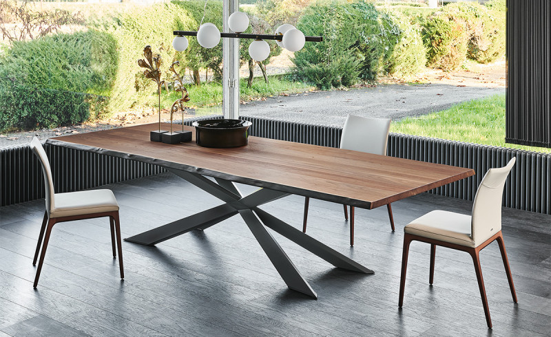 Spyder Wood Cattelan