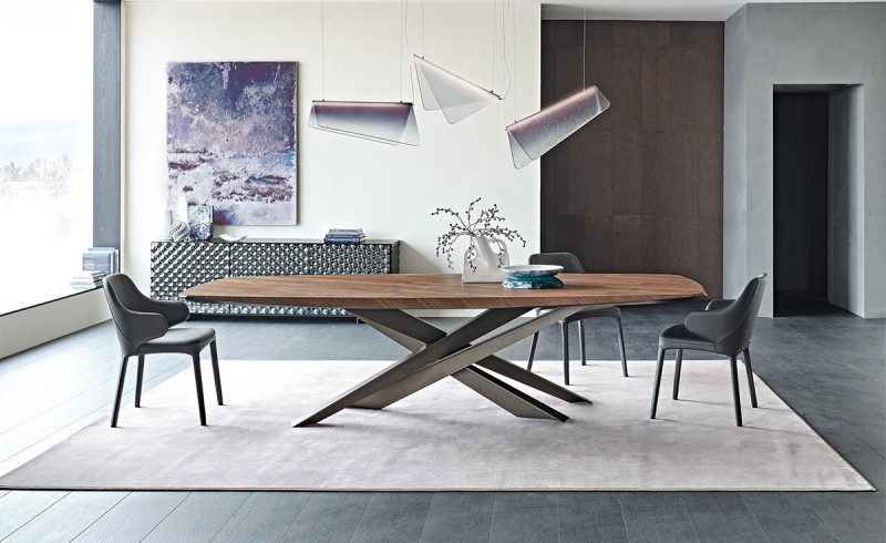 Lancer Wood Cattelan