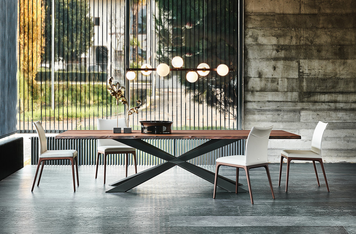 Spyder Wood Cattelan