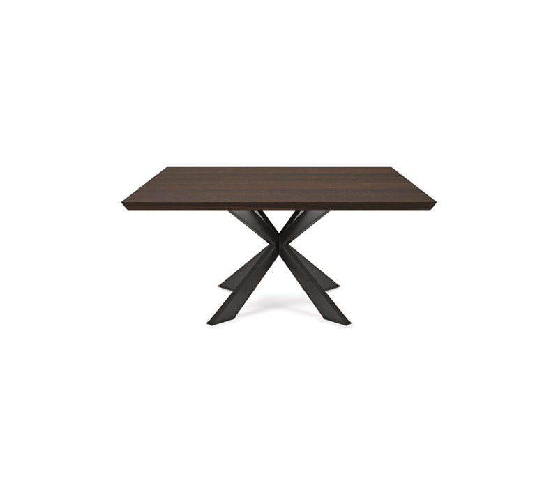Spyder Wood Cattelan