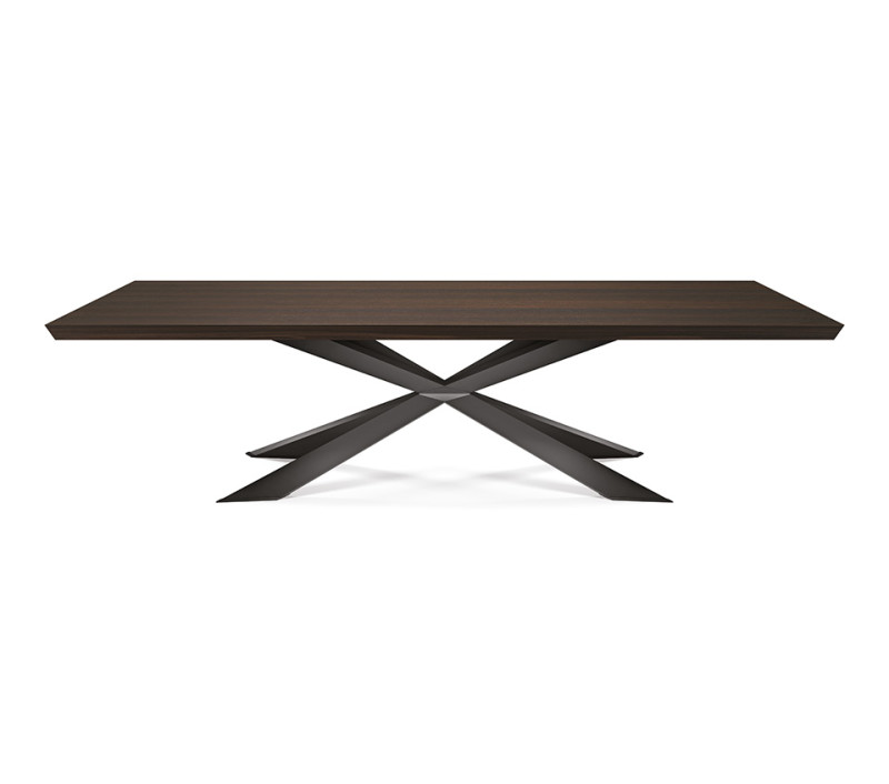 Spyder Wood Cattelan