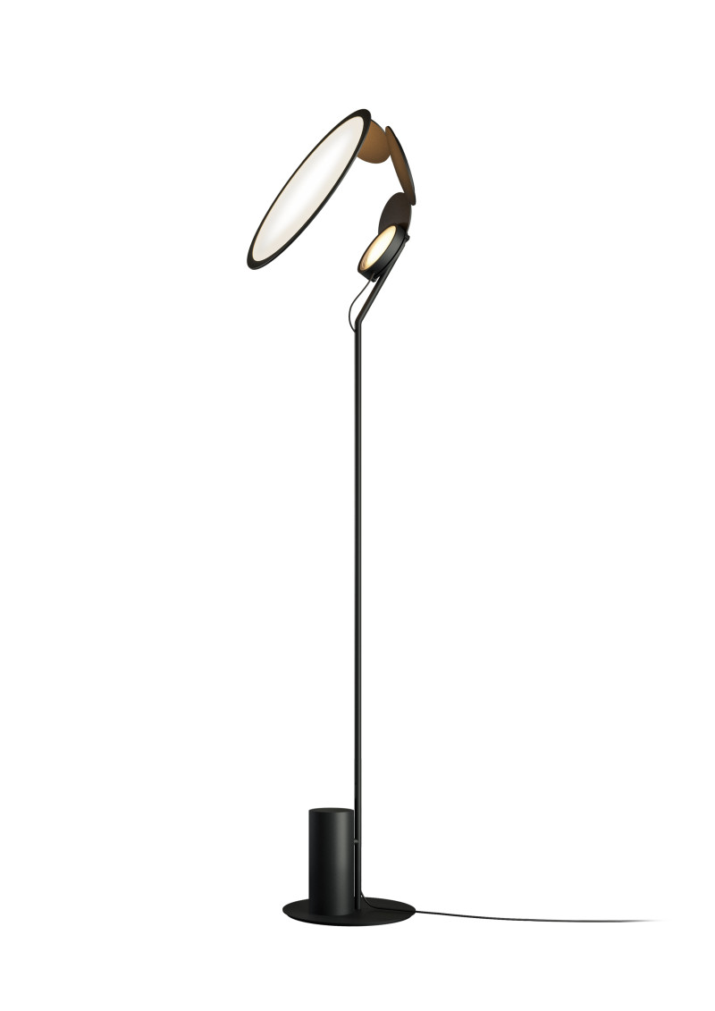 Cut Axolight
