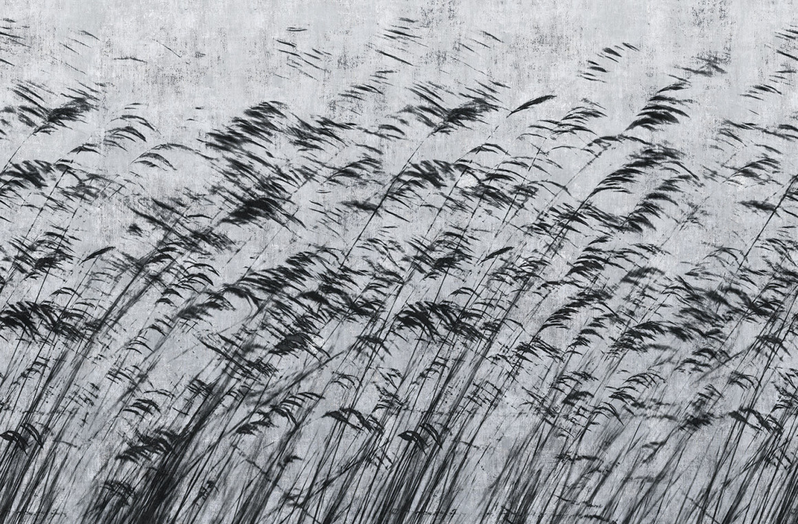 Gone with the wind Londonart