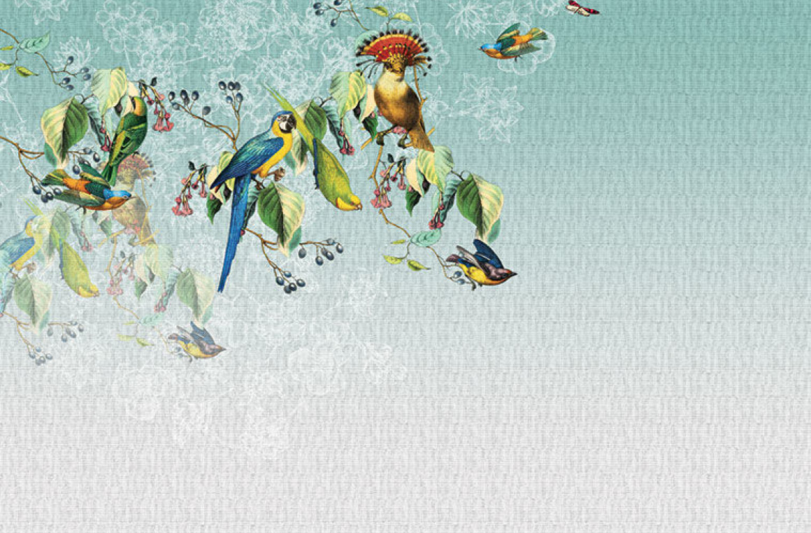 Vallery's parrot Londonart