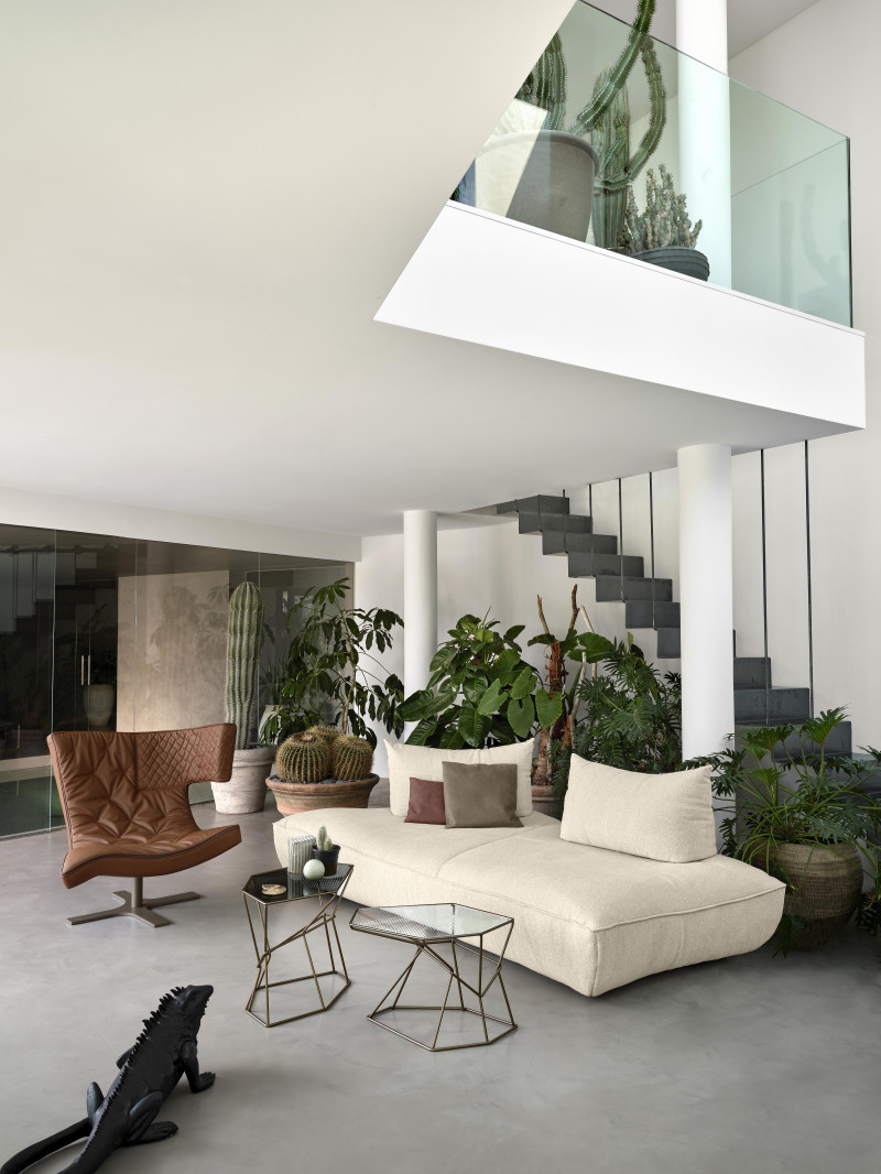 Night Fever Arketipo