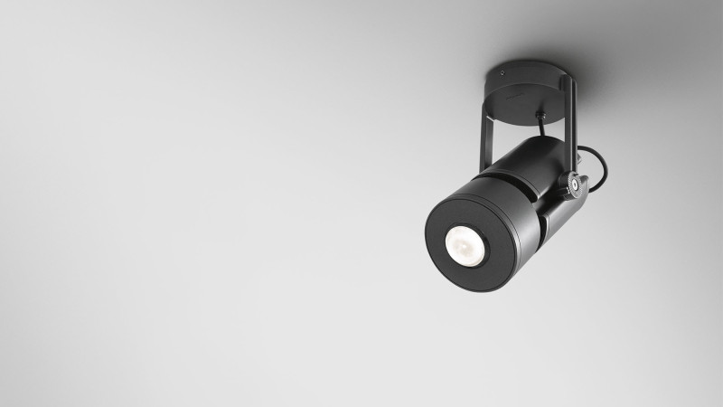 Cariddi Artemide