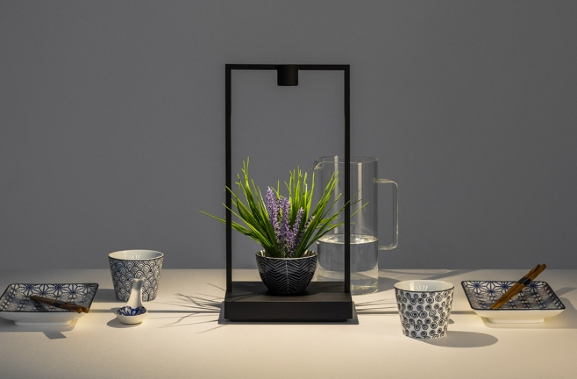 Curiosity Artemide
