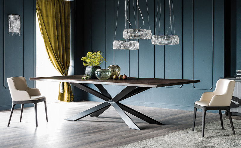 Spyder Wood Cattelan