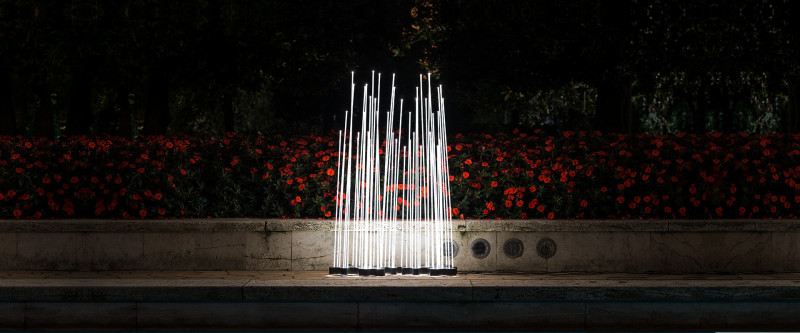 Reeds Artemide