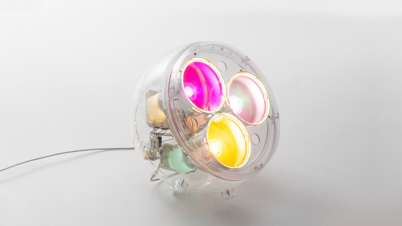 Yang Artemide